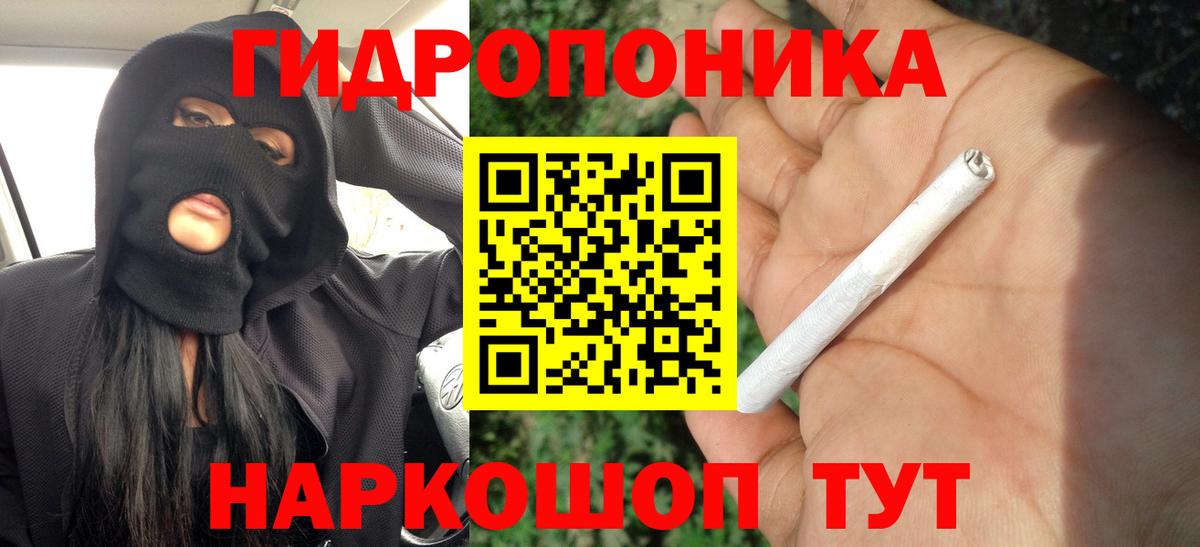 Бошки Шишки OG Kush  Вход с VPN  Бошки Шишки VHQ  МАРИХУАНА сатива  Фролово 